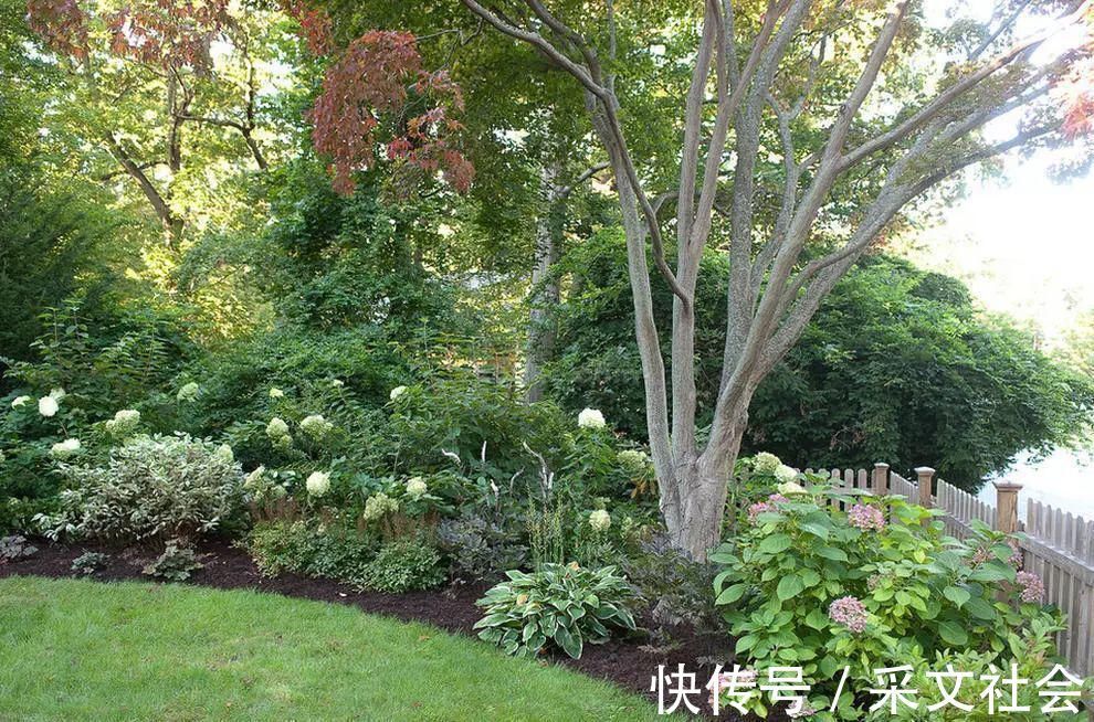 巧用庭院小角落,让你的庭院不再单调