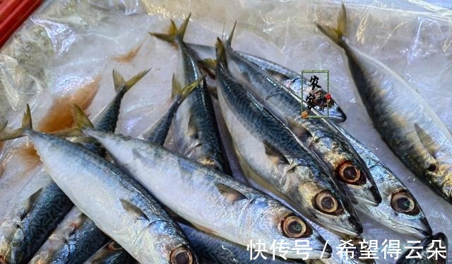 降温了,孩子就馋这蒸菜,三天两头蒸一盘,好吃不上火香辣又美味!