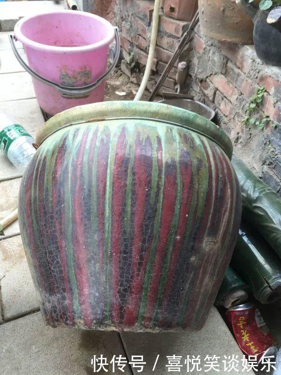 几十个高价花盆,被扔在垃圾桶旁,捡还是不捡?