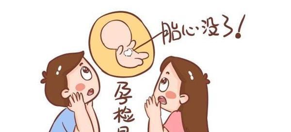 孕期5大“排畸”检查，其中3项每个孕妈都要做，快看你落下了哪个