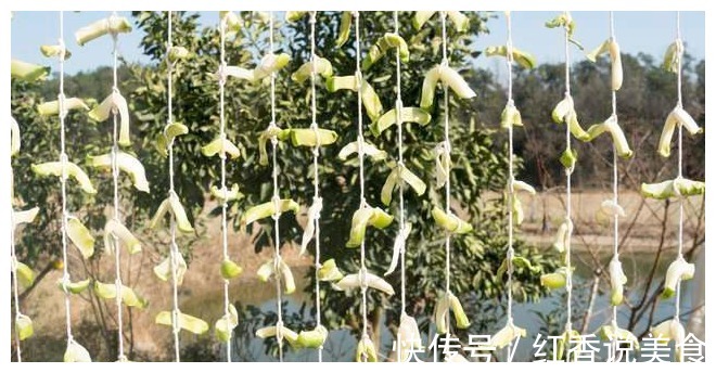 这5种蔬菜晒干后，比新鲜的好吃太多！炖肉炒菜都行，放1年不坏