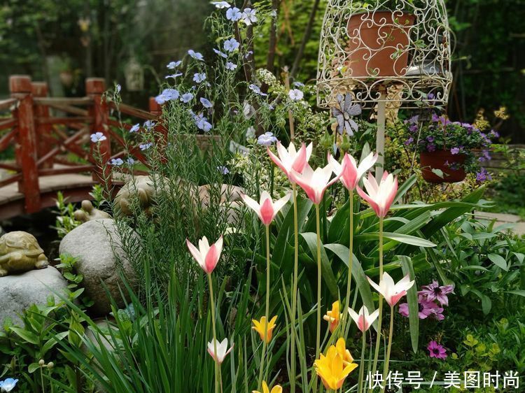 美好时光|花园改造:3年前买了栋带170㎡花园的房子,过上种花草的乡村生活