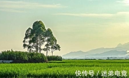 田园生活$两首描绘田园生活的诗作,恬淡淳朴,却表达出不同的心境