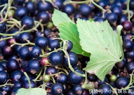 维生素c|女性睡前当零食吃,坚持7天,色斑没了,皱纹没了,子宫也好了