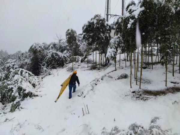 浙江分社|开工第一天杭州这场雪，东北人都说“服气”！