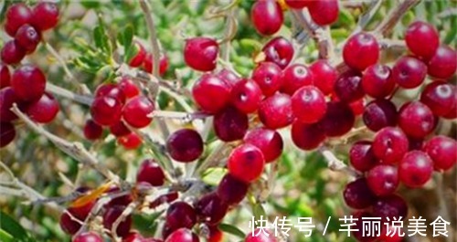 抵抗力|人到中年想长寿,多吃3种食物,排毒抗菌、降压减脂,增强抵抗力
