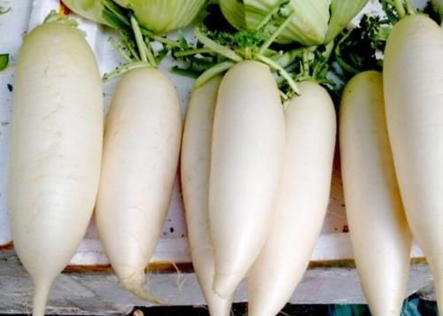 买萝卜时,遇到这4种坚决不买,掉头就走,菜贩:这人不好忽悠