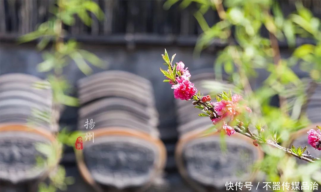 扬州当地人才知道的古典园林,瘦西湖门票100,这里却免费