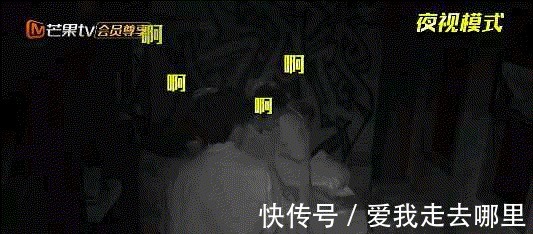 陶医生|《密室大逃脱3》收官：《绝密医院》为啥被称为本季最赞密室？