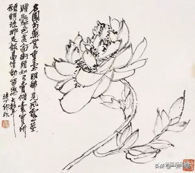 柳雀|吴昌硕绝笔花鸟册，用笔用墨，果然老辣