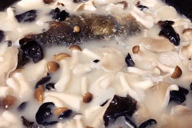 炖鱼头豆腐汤,记住“2放3不放”,鱼汤没有腥味,汤奶白特别鲜