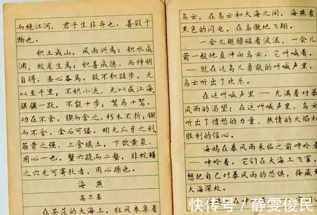字帖!35年前首届钢笔书法一等奖获得者林似春的获奖作品,可做字帖