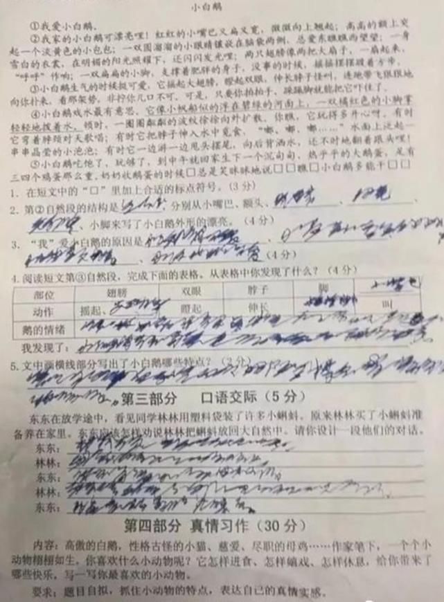 小学生字迹如“草上飞”，老师批改试卷到怀疑人生：咋让人看不懂