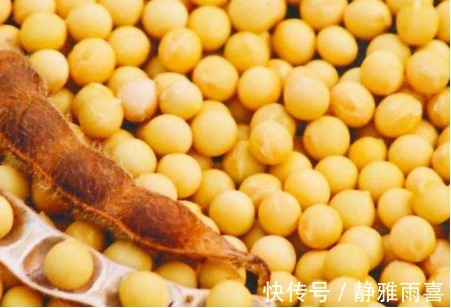 女人|女人到了更年期,再穷也要吃3物,皮肤变嫩,更年期后依旧优雅