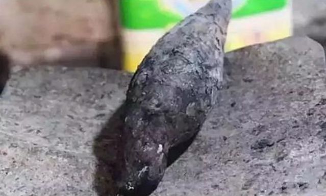 想吃烤红薯不用买，电饭锅就能直接烤，不用加水，软糯香甜手不脏