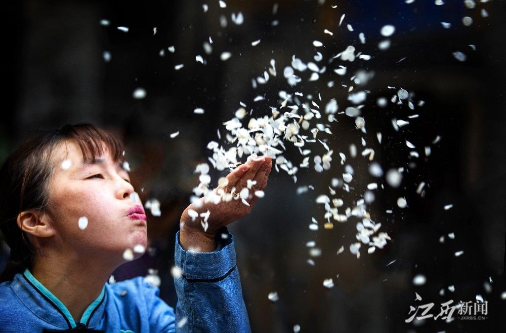 强省|江西日报整版关注中医药强省建设：“望闻问切”江西中医药