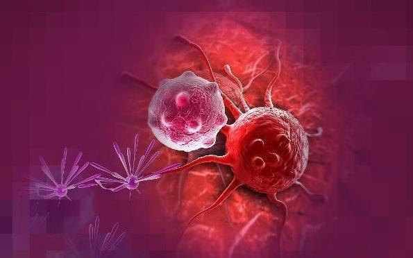 泡水|李时珍一味“野花”泡水连喝7天,治疗痔疮,缓解便秘保健康!