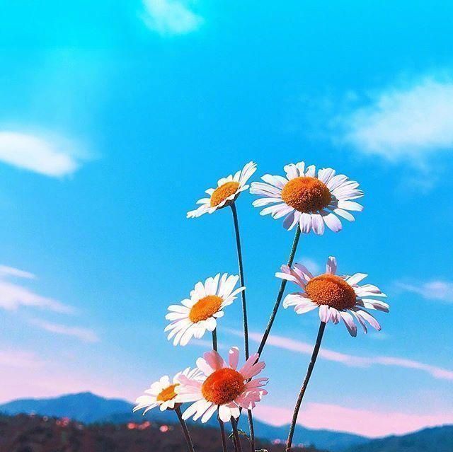 乐观心态的心情短句,精挑细选,越读越优秀!