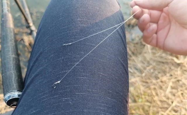 细线|冬钓鲫鱼用多粗的线:0.8子线和0.4子线有何区别?