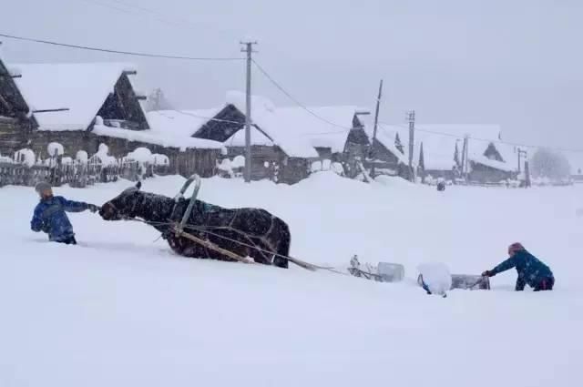 神话里|如果东北的雪景是童话，那北疆的雪景便是神话！