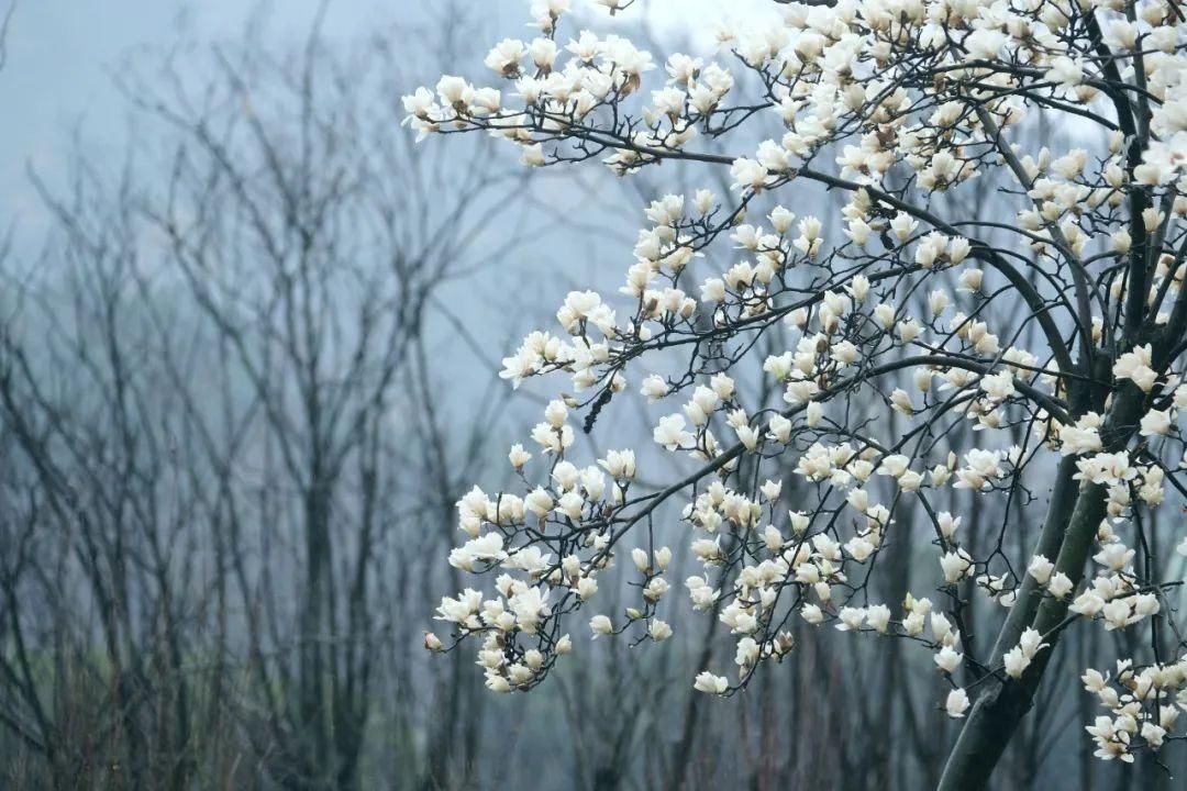 天青色等烟雨，宁波美到你！