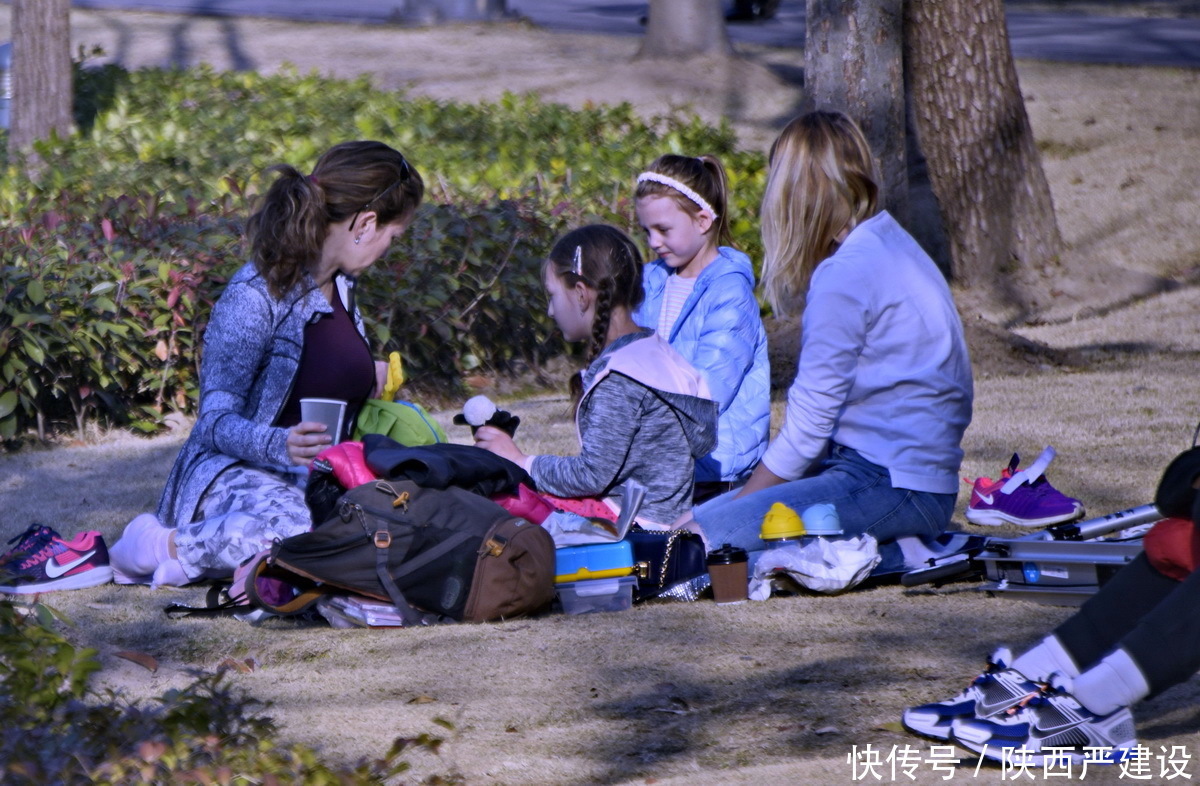 老年|新虹口花园的玉兰花开了【严建设】