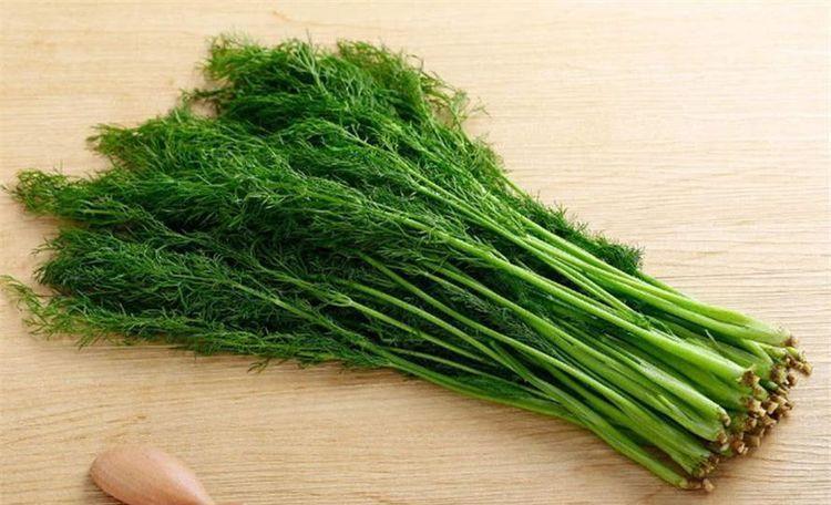 冬瓜|每天坚持吃3种食物,增强体质、补充营养