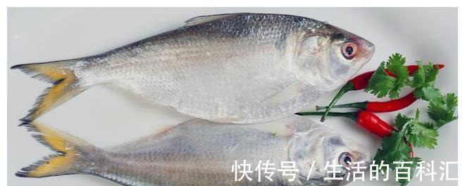 鱼肉|入夏后，这6种鱼正当鲜，钙含量高，常做给孩子吃，长个不用愁