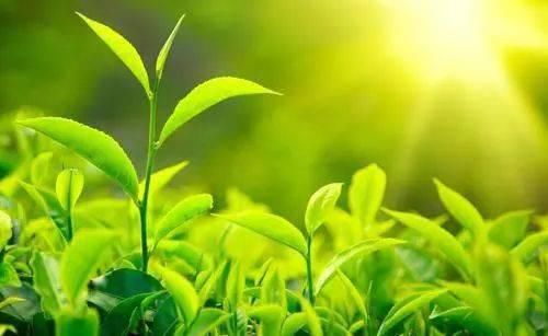 生活中的100例妙招，招招显奇妙！