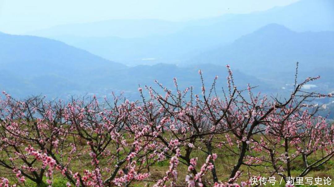 元稹的一片深情让人感动，这首经典的《桃花》，每一句都很感人