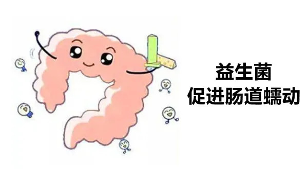 肠道菌群很重要,从小抓起更有效|?大白话说中医第一百六十三期| 小孩子