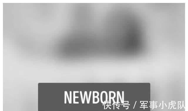 迷藏|1组图看懂宝宝1岁前的视力变化,生命好神奇,看完同情宝宝啦