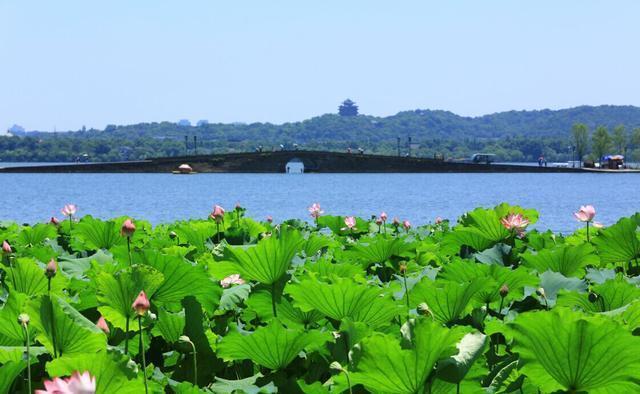  城市|3首代言了一个城市的宋词，展现了宋词大咖们的随心所欲