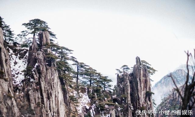 迎客松|谁才是“天下第一山”？两大名山的百年地位之争