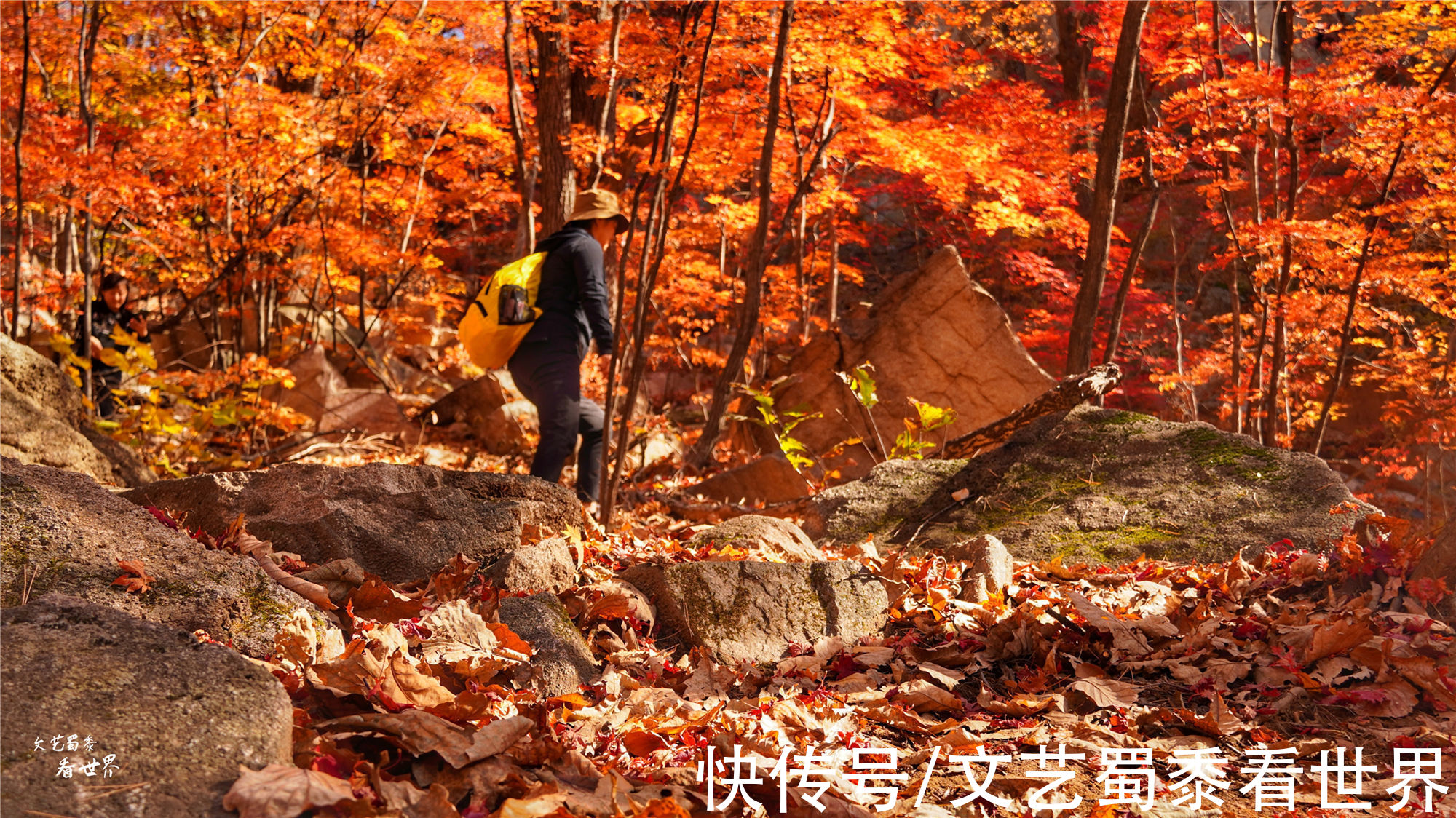 红叶|又快到了去本溪赏枫的季节，枫林谷是我退休以后每年都要去的地方