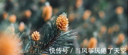 水瓶座|容易伤感，却独立坚韧，有些星座不用管，一个人，也可以放声歌唱