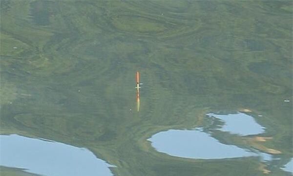 饵料|图解冬钓鲫鱼调漂步骤，天寒地冻鱼口轻，浮漂就应该这么调！