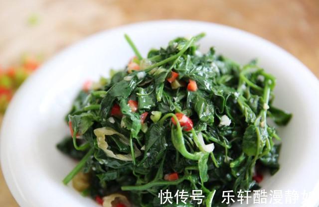 凉拌灰灰菜|你见过这个神仙宝藏吗，不用花钱就能吃到，是营养价值极高的蔬菜