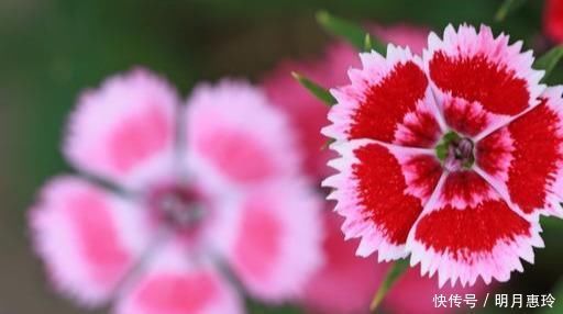 生活|50、60、70岁的朋友,记住这7句话,让你的生活更幸福