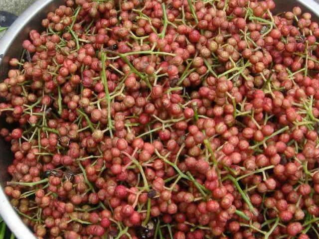 花椒|花椒放白酒里泡一泡,原来还有这种功效大家可以试试