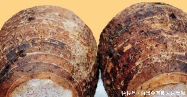 家长|家长手头紧也要多给孩子吃4物，不然孩子可能体质差，身高也落后