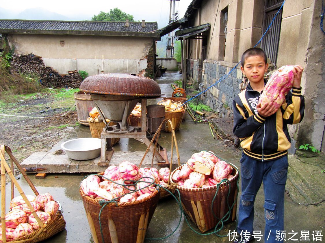 番薯的花样吃法,舌尖上的美食,只问吃过几种