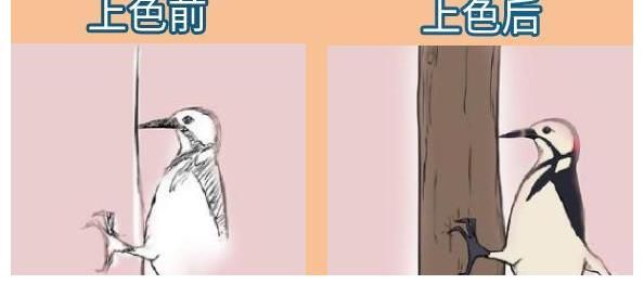 marmot$有一位画手每次画到一半就放弃，当作品被上色之后，瞬间有了灵魂