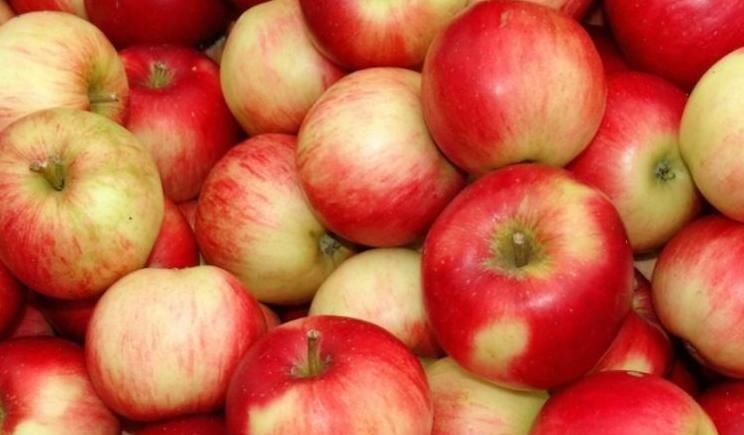 记忆力|每天早晨空腹吃苹果,坚持下来,会有三个好处会不请自来!