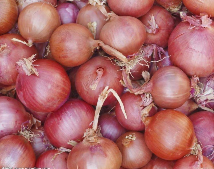 草酸|食用洋葱对身体最好,但与这些食物同吃危害最大,很多人还不知道