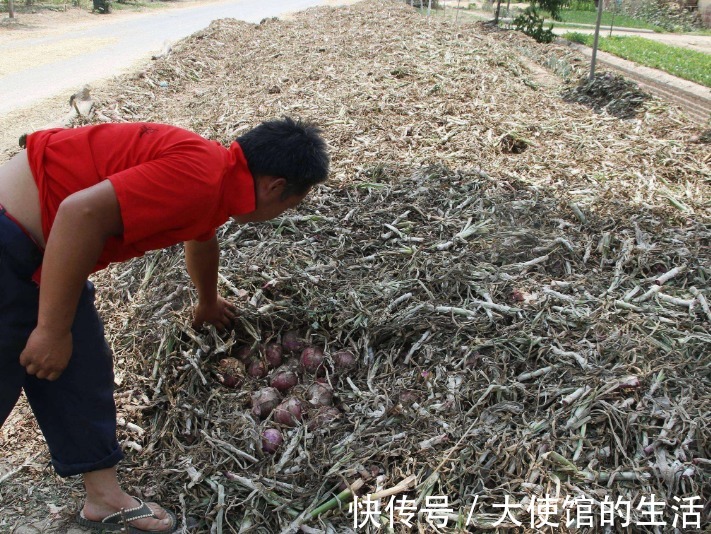 男性|补肾男性想要肾更强壮一治一个准,半个月后,立马枯木逢春!