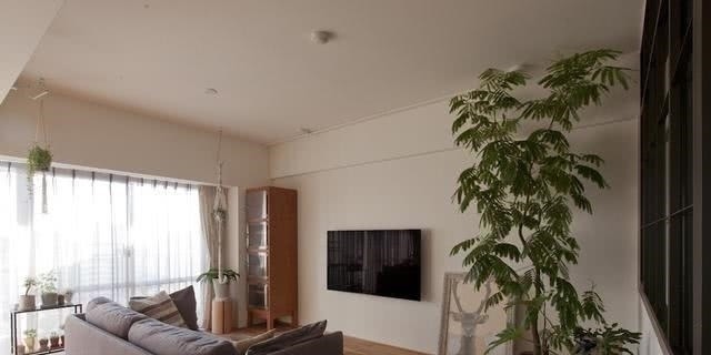 玄关|日本夫妻住71平,玄关装门又下沉,冰箱藏起来,家里干净名不虚传