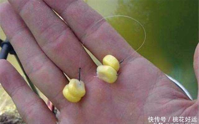 野钓大鱼,用长子线还是短子线?合理选择子线长短,有效减少跑鱼