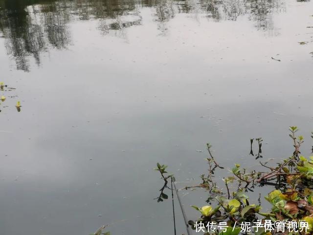 钓鱼中的“黑话”知多少?能听懂10个以上的是老钓手