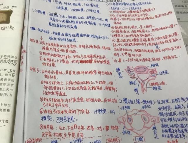 大学生“藤蔓字体”火了，看完眼花缭乱，网友调侃：适合去学医